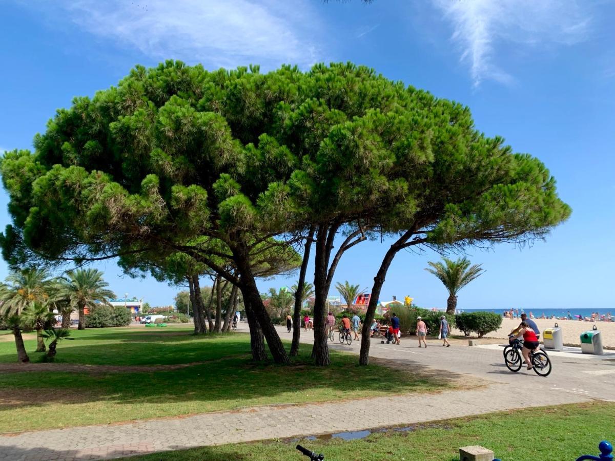 Superbe Appartement Neuf Entre Mer Et Pins Wifi Argelès-sur-Mer Exteriér fotografie