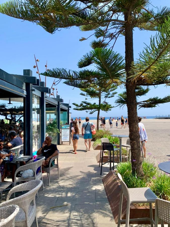Superbe Appartement Neuf Entre Mer Et Pins Wifi Argelès-sur-Mer Exteriér fotografie
