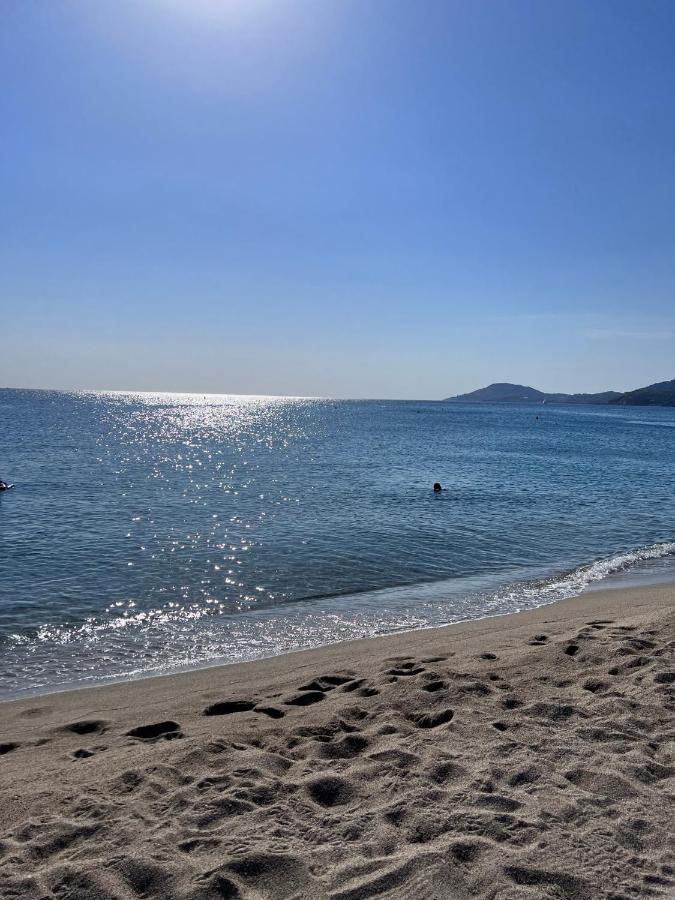 Superbe Appartement Neuf Entre Mer Et Pins Wifi Argelès-sur-Mer Exteriér fotografie