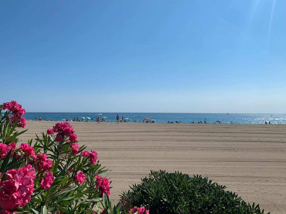 Superbe Appartement Neuf Entre Mer Et Pins Wifi Argelès-sur-Mer Exteriér fotografie